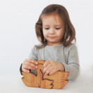 Пазл Семья лебедей